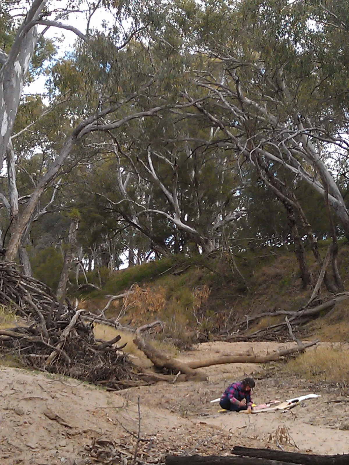 Drawing on the riverbed, Donna Malone Image credit